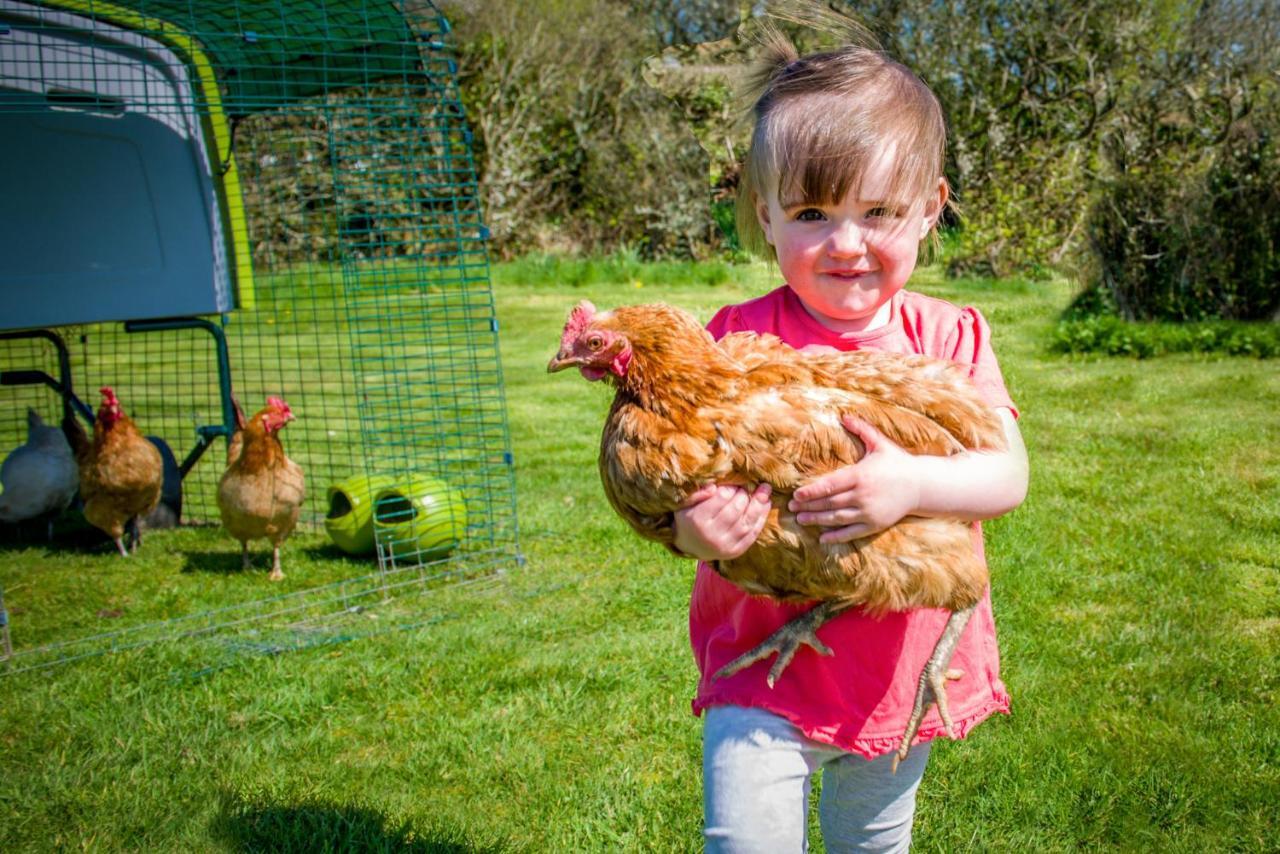Вилла Cargurra Park Farm Боскасл Экстерьер фото